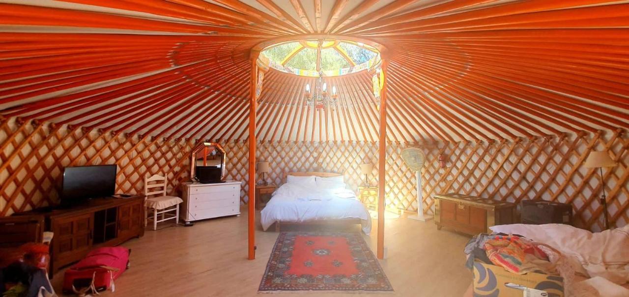 Eldorado Yurt Hotel Algarrobo Bagian luar foto